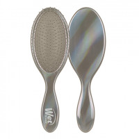 Wet Brush Iridescence - Chrome