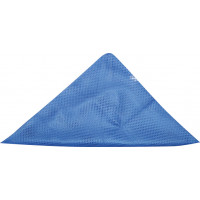 Dateline Professional Network Triangular Setting Hair Net Blue Dateline Professional Network Triangular Setting Hair Net Blue
