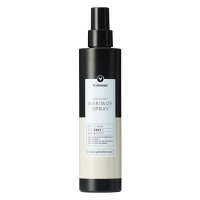 HH Simonsen Maximize Hair Spray 200ml HH Simonsen Maximize Hair Spray 200ml